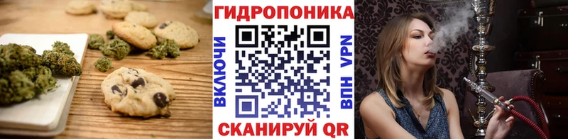 гидра ссылка  дарнет шоп  Болохово  Cannafood марихуана 