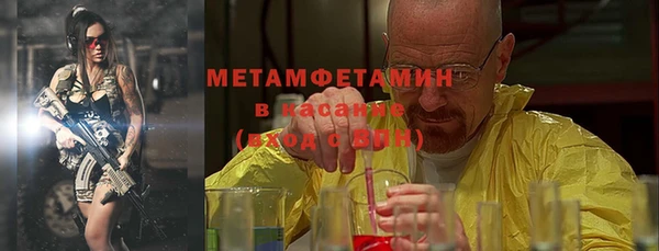 индика Арсеньев